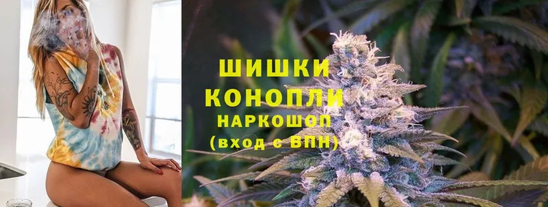 Канабис OG Kush  Пудож 